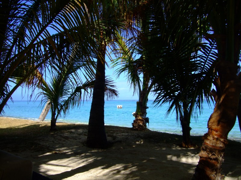 Mauritius 2010 - 0051 